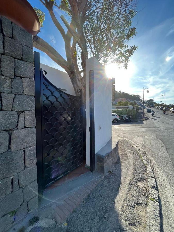 Smeraldino Lacco Ameno  Exterior foto
